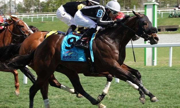 In with the old as Teletimer returns at Laurel Park