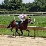 Off to the Races podcast: Cricket Goodall featured