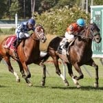 Jockey Club predicts further declines in foal crop size