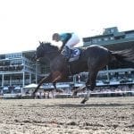 Md. House passes Pimlico-Laurel redo bill