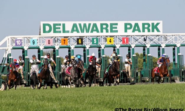 Delaware Park: The top 5 local juveniles to race are…