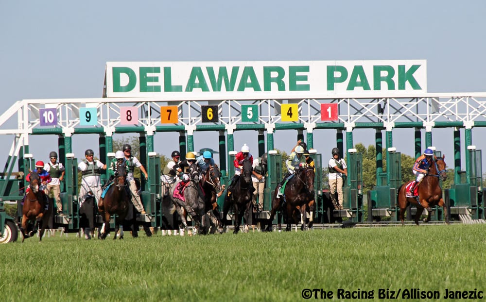 2006 Kentucky Derby Chart