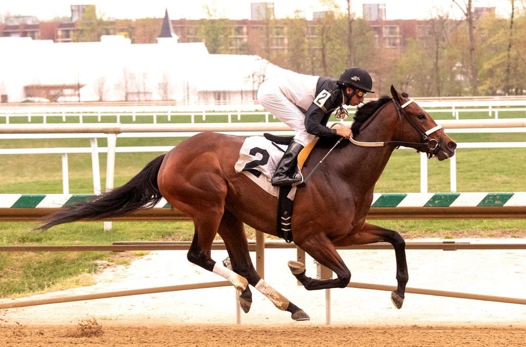 Maryland Pride stakes could prove boon for McCarthy, Trombetta