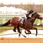 From the Spa: August 17 Midlantic-breds in Saratoga stakes