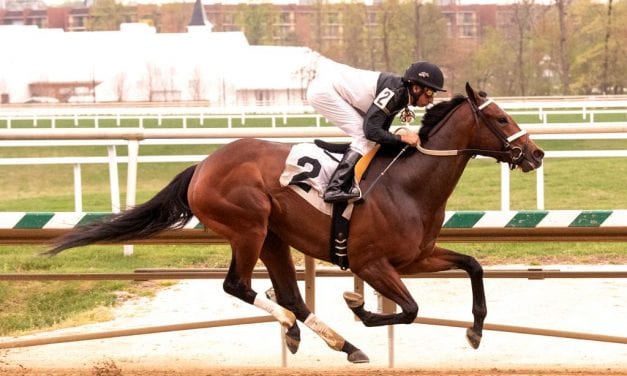 Maryland Pride stakes could prove boon for McCarthy, Trombetta