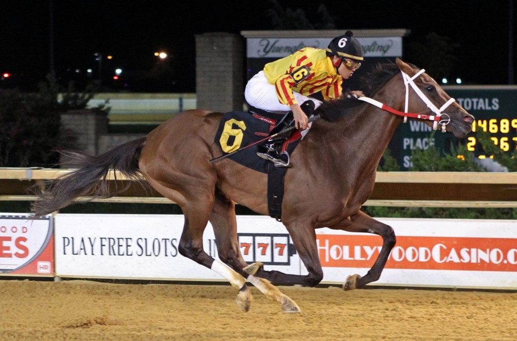 Parisian Diva set to represent home team in CT Oaks