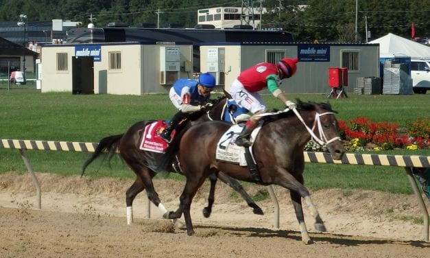 Anna’s Bandit, Perez wave goodbye to Timonium Distaff rivals