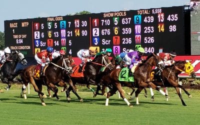 Virginia Derby undercard stakes offer intrigue