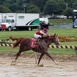 Pimlico Pick 6 to pay out July 4