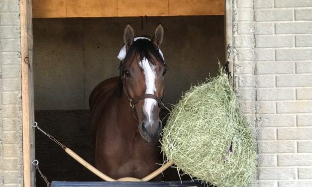 “Laid-back” Jais’s Solitude first among Va. Derby equals