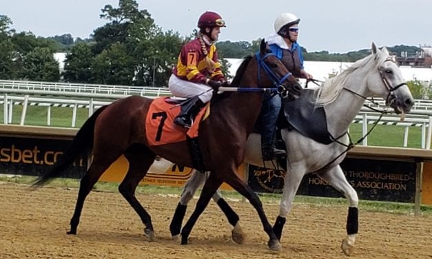 Lauralea Glaser racing again for love of the game, horses