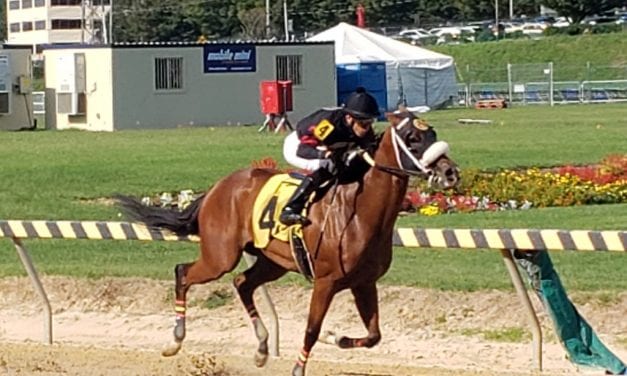 “Classy” Marvelous Martina easily best in Big T allowance