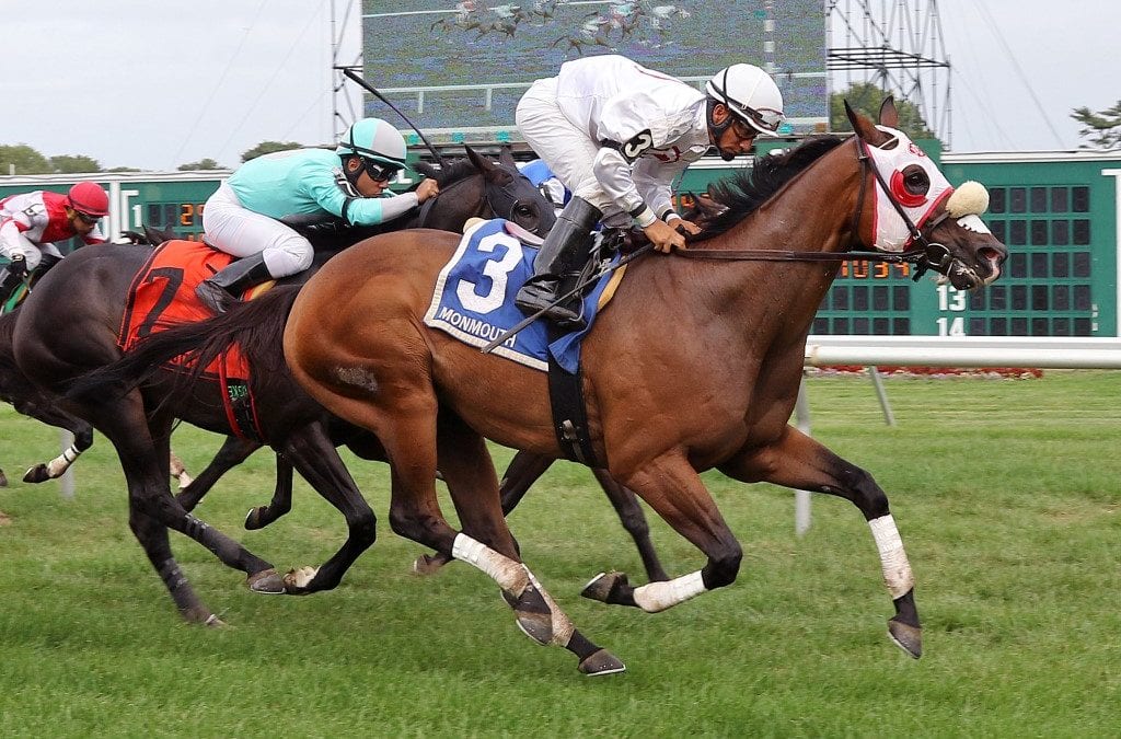 Veteran Oak Bluffs storms to Joey P Handicap win