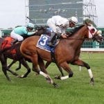 Maximum Security out but tough PA Derby field remains