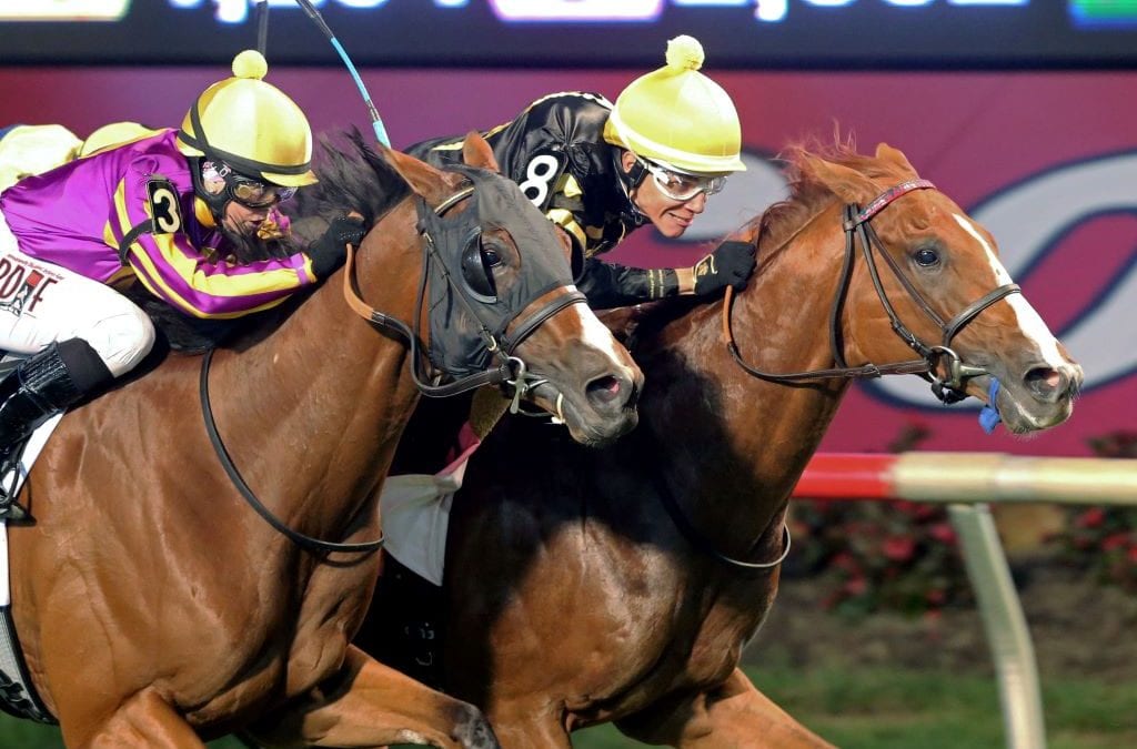 Colonial Downs touts projected economic impact