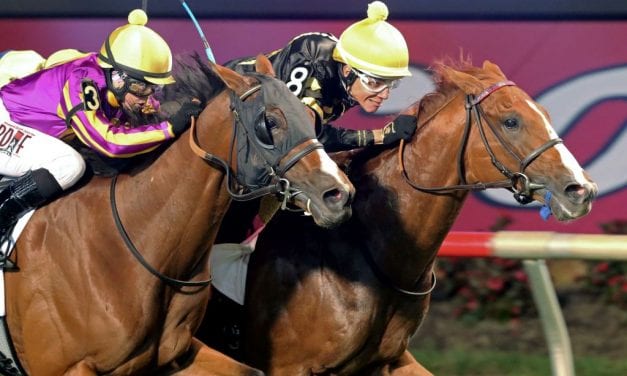 English Bee buzzes to narrow Virginia Derby score