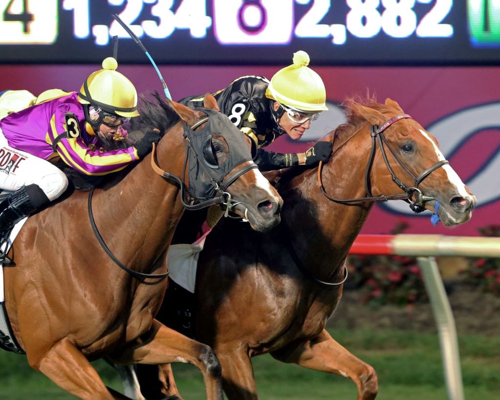 English Bee held off Jais's Solitude to win the G3 Virginia Derby. Photo by Coady Photography.