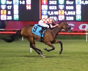 HOLLY HUNDY – The Camptown Stakes – 09-07-19 – R08 – CNL – Finish