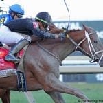 Laurel Stakes Saturday: 6 quotes to tell the tale