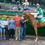 Jockey Club considering reduction in stallion book size