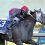 First foal a filly for Force the Pass