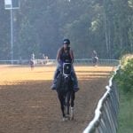 Eight named as finalists for Md. Thoroughbred Hall of Fame