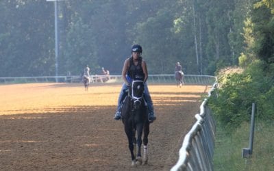 Colonial Downs stable area to open June 23