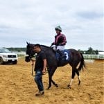 Veteran Oak Bluffs storms to Joey P Handicap win