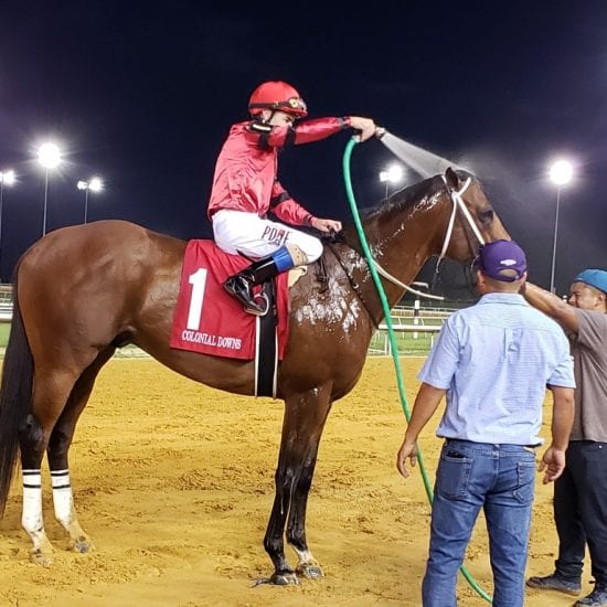 Laurel Park picks and ponderings Mar. 5, 2021 * The Racing Biz