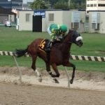 English Bee buzzes to narrow Virginia Derby score