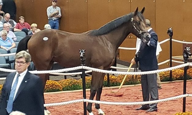 Fasig-Tipton yearling sale: Gross, average up on day one led by Midlantic-breds