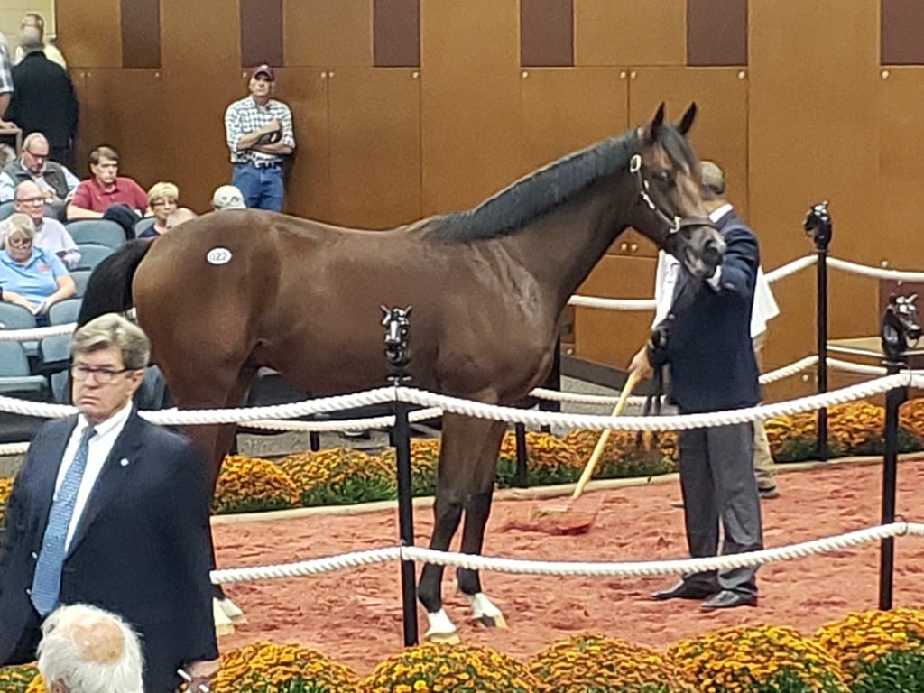 Fasig-Tipton