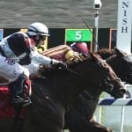 Selima win could have Sharing bound for Breeders’ Cup