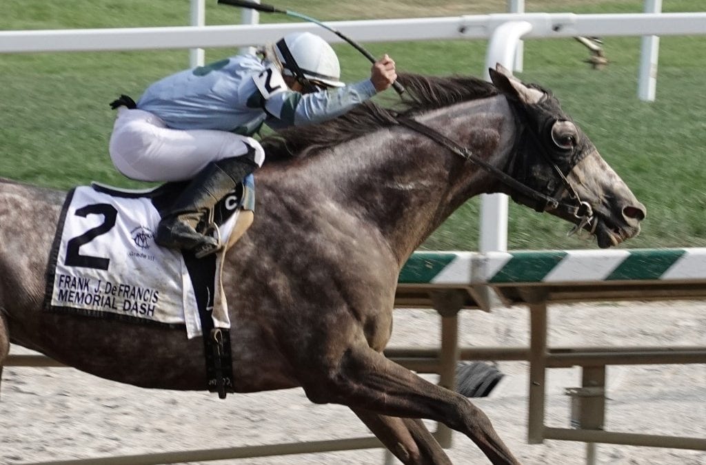 New Maryland riding crop rules paying quick dividends