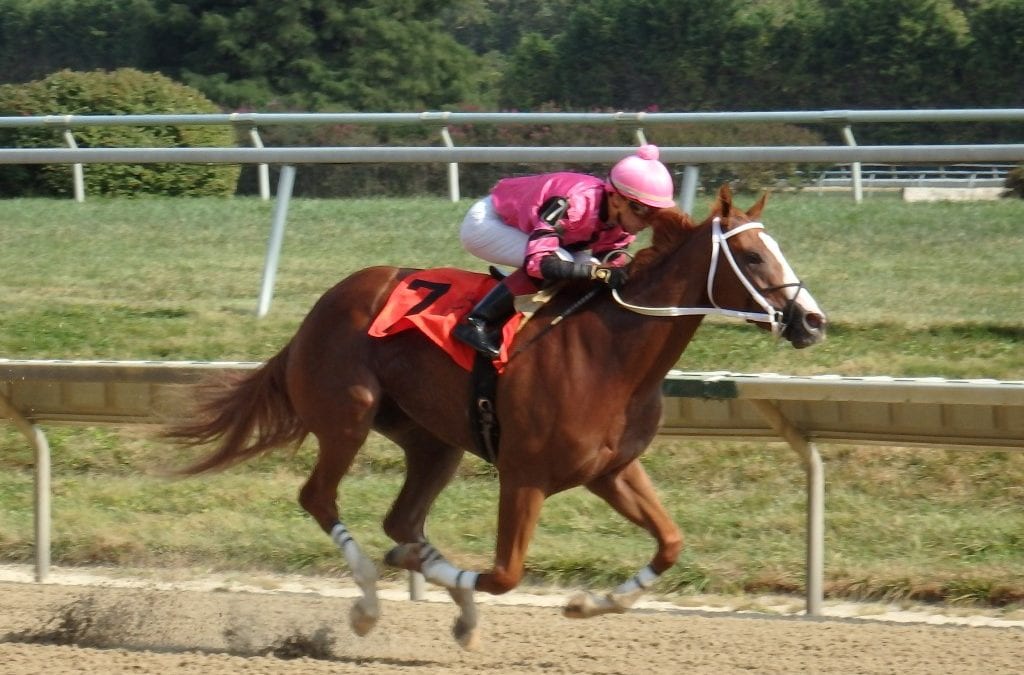 Delaware, Monmouth conditions books available
