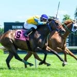 WV Breeders Classics clearer after WV-bred stakes