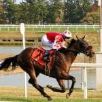 Grand Slam as Trevor McCarthy wins four stakes