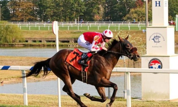 What to watch for in today’s Laurel Park stakes