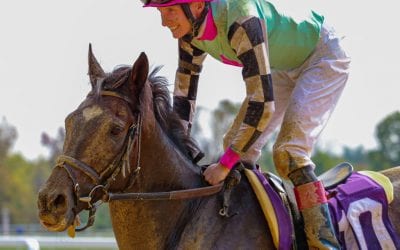 Trevor McCarthy named Jockey of the Week