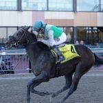 Charles Town cancels Feb. 20 card