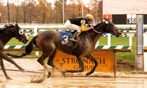 Laurel Park Notes: Clubman bounces back