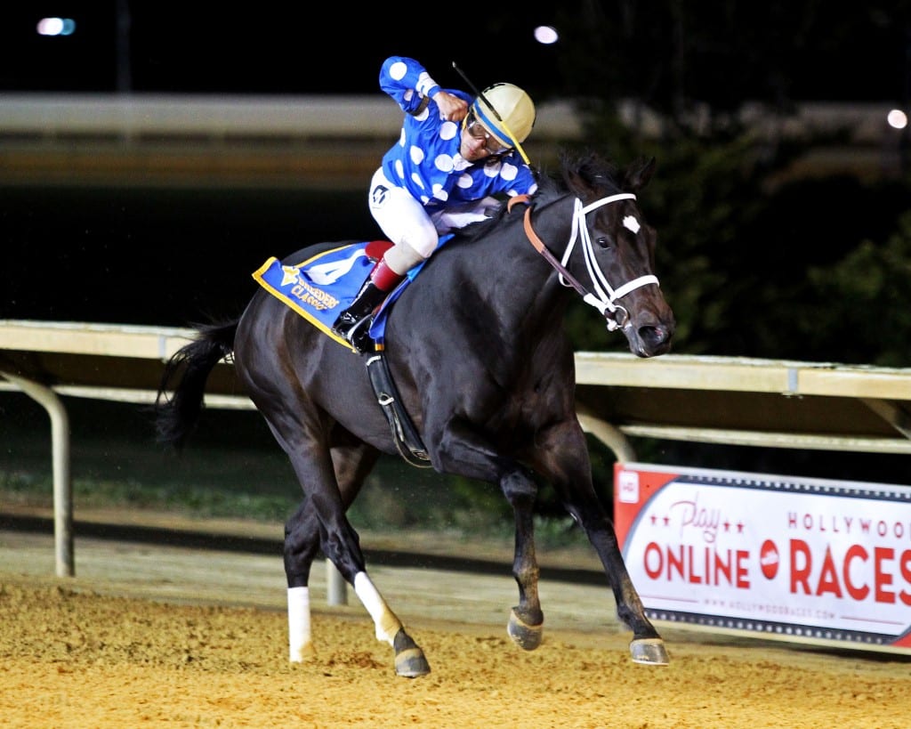 LOVING TOUCH – West Virginia Lottery Breeders Classic – 10-12-19 – R02 – CT – Finish 02 Loving Touch
