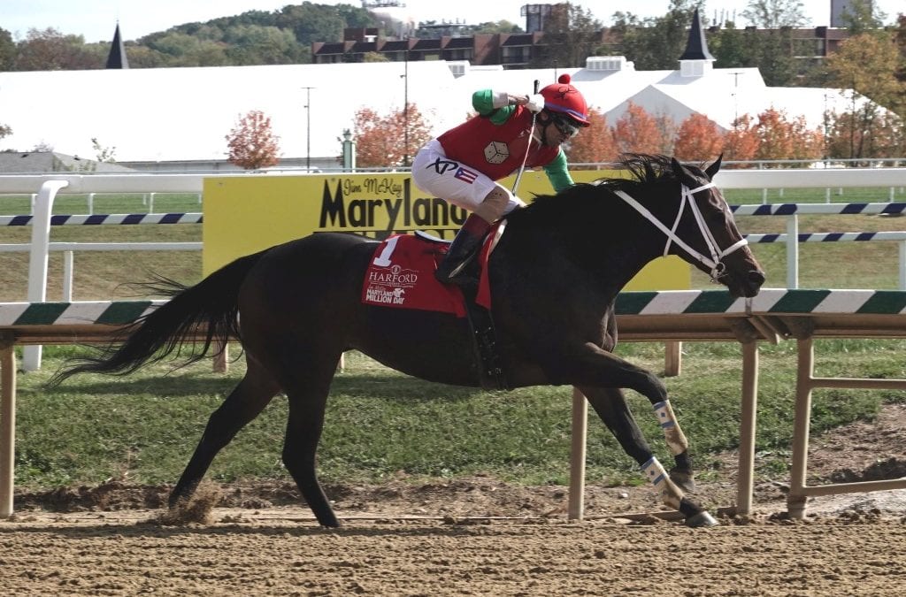 Anna’s Bandit guns for sixth straight in Politely