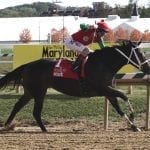 Pimlico picks and ponderings June 11, 2021