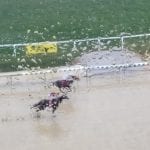 Parx Racing cancels Jan. 11 card