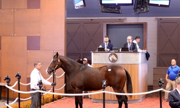 Sales tales: From distraught foal to sale-topper