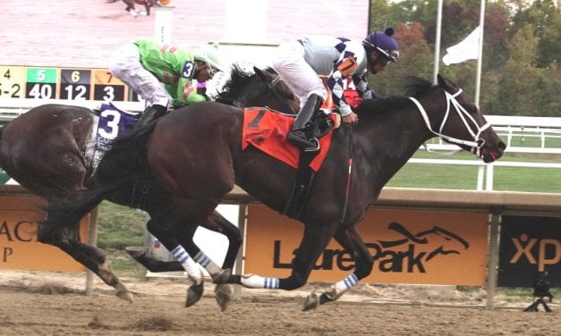 Four stakes winners key Pimlico allowance