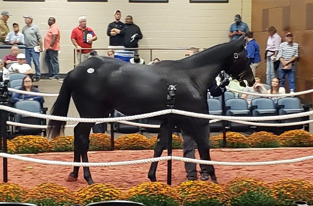 Fasig-Tipton mixed catalog now online