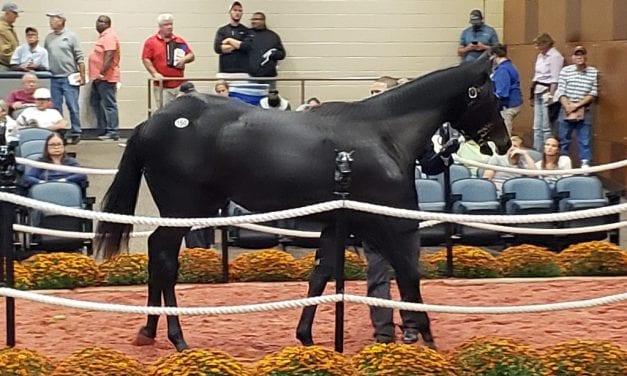 Online bidding to be offered at future Fasig-Tipton sales