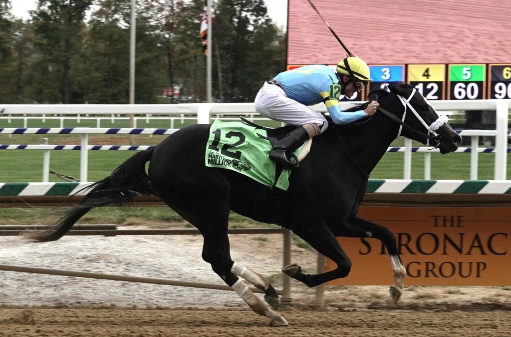 Hello Beautiful targets second Laurel stakes win